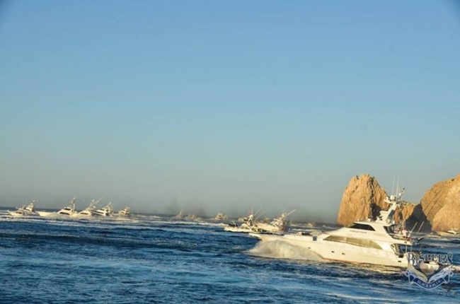 120 Teams are chasing millions of $ in the 2017 Bisbee's Black and Blue Marlin Tournament.  Stop by the living scoring - http://bit.ly/2h89A3i PC: John Radzwilla

#Cabo | #Fishing | #HookedOnBisbees | #FinandField