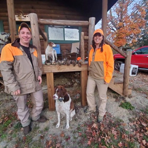 Great day in the grouse woods one short of a two-man limit. #mainegrousehunting #ruffgrouse #rgs #maineguide #grousedogs #grousehunting #gundog #upland