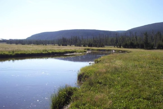Some where on a beautiful stretch of Slough Creek. Save a date and join us this summer. #explore #yellowstone