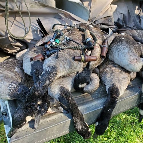 Great way to end our early Goose season.