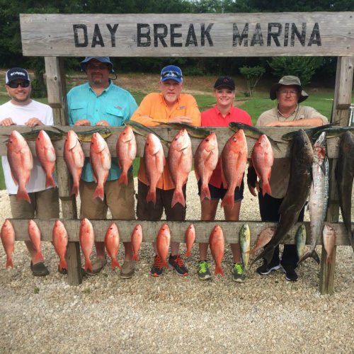 SuperBowl Fishing LLC shows the diversity of gulf fishing and great time had by all! Call 855-400-9376 to book a charter with Capt. Dom & crew out of Pensacola, Florida. #Fishing #RedSnapper #Cobia #FL #Florida #SuperbowlFishing #FinandField