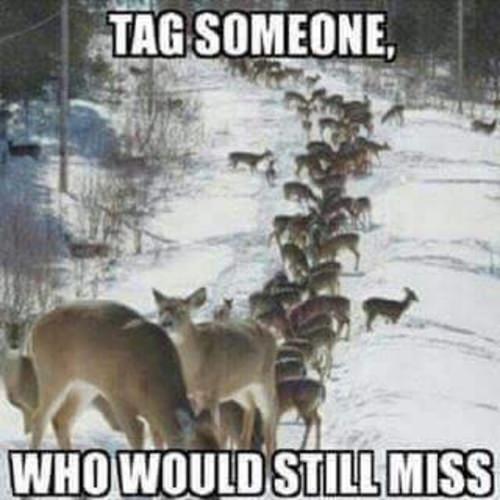 Tag away!!
#racknine