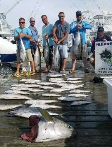 Predator Sport Fishing had a nice trip out of Hatteras.
#NC #Fishing #Predator #FinandField