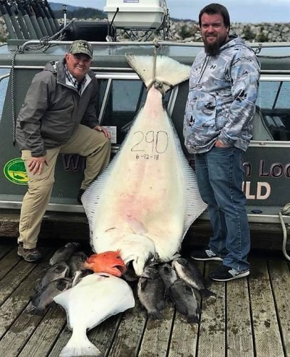 Barndoor! Great fishing Wilderness Beach Lodge.
Book an Alaska fishing adventure today.
#Fishing #Alaska #WildernessBeach #FinandField