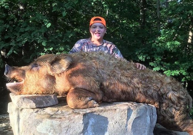 Look at this beast! Have you ever seen hair like that?
Wilderness Hunting Lodge #TN #Hunting #FinandField