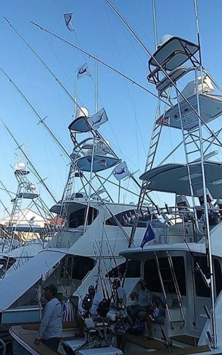 Epic day of fishing for the Marlin Gale out of Ocean City, MD.
5/5 Blue Marlin 1/1 White Marlin! Brandon Speilman #OCMD #Marlin #Fishing #FinandField