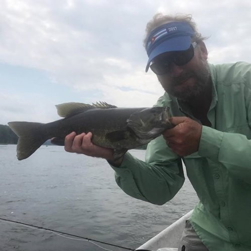 Getting some bronze love! #susqguide #keystonesmallies #smalliesonthefly #susquehannariver