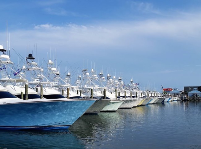 2019 White Marlin Open Day 1. Scales are going to be busy. 389 of 404 boats fishing today. #EmptySlips #EveryoneWent #Fishing #WMO #FinandField