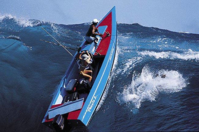 Hang on or jump out? #Wow #Fishing #FinandField #GuyHarvey