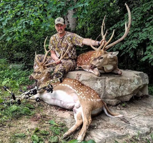 Double Down on Axis Bucks at Wilderness Hunting Lodge. Book your hunting adventure at Fin & Field. #hunting #TN #finandfield