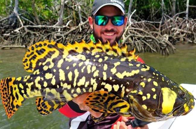 Let's Go Fishing Friday! Can you name this beauty? Book your next fishing adventure at www.finandfield.com #LGFF #DreamBig2016 #Fishing #Adventure #FinandField