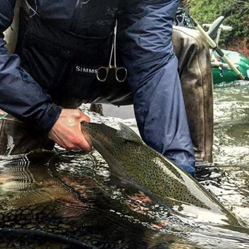 What do you prefer — the catch or the release? Photo: @codygibson1 #simmsfishing #forgettheforecast #keepemwet