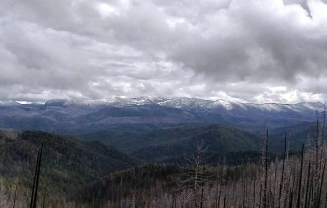 Looking for a springtime hunting adventure in Idaho? Visit York Outfitters profile page to see what they have to offer. http://bit.ly/2llp9ra.

#Hunting | #Idaho | #YorkOutfitters | #USA | #Adventure | #FinandField