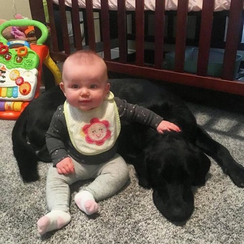 Chill day with #babyEm!!!
.
.
.
#familytime #blacklab #happybaby #sundayfunday #panhandlefishingcharters