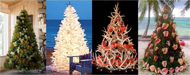 Non traditional! Camo, Starfish, Antlers, or Conch? #HappyHolidays / #Adventure /  #FinandField