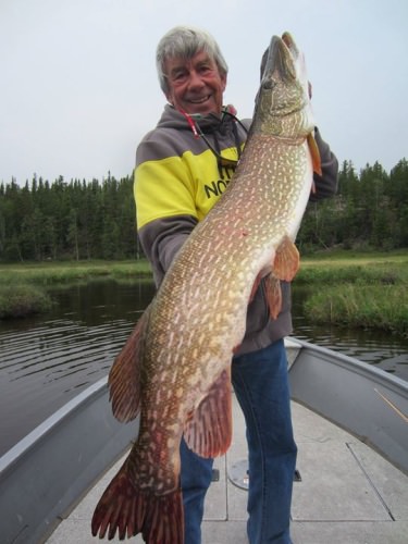 How long is this monster pike?

Caught at Wollaston Lake's Minor Bay Lodge...888-458-0865

http://bit.ly/2mwVLv2

Papa's Pilar | #PapasPilarRum | #PapaHemingway | #Fishing | #Adventure