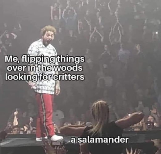 Those were the days!!