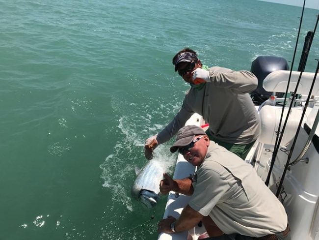 South Florida Tarpon fishing is heating up. You too can scratch a tarpon off your bucket list with Short Drift Charters. 844-599-8842

http://bit.ly/2qTBciU

#Fishing | #Adventure | #FinAndField | #Florida | #Tarpon