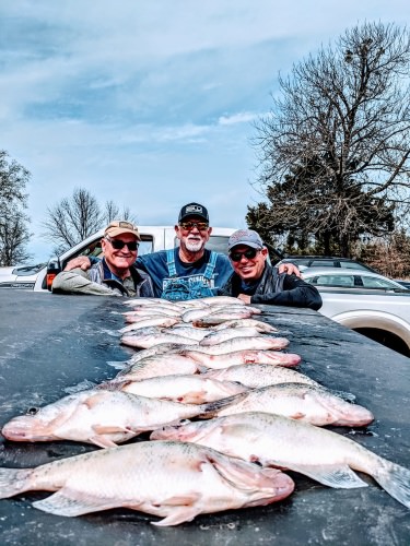 Ricky, Ray and Bob fishing with D&K Guide Service. We had a shorter day on the water due to there travel plans but it was productive. Fish were staging and roaming just outside of spawning areas in 8 to 10 ft of water 6 to 7 ft suspended. seems like they were much more interested to hit a jig. Water temp right at 60. Had a great time with you gentlemen looking forward to our next year's trip.