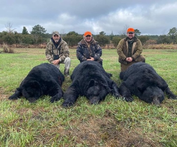 Black Bear hunting success with Dare to Hyde Adventures. #FinandField #Hunting