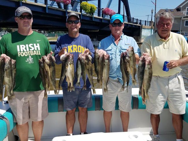 The Cassidy group day 2 with 2 new guests casted for a boat limit of walleye aboard the Foxy Lady today.  They weathered a stiff wind and bumpy lake and were rewarded with a limit before lunchtime.  Good job guys and see you next year.