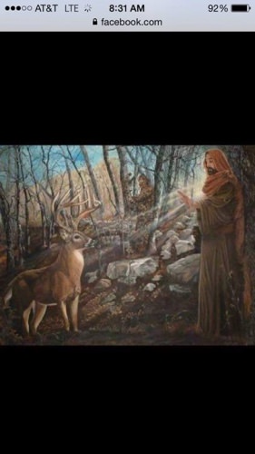 Backed in the cedars as far as I could go, kneeled down in the cold wet snow, I hit the doe bleet a couple of times, when all at once a yote arise, a few feet away, he's staring at me, so I gave him a little git, shewee!  Upon that reaction a buck I heard snort, took off in a hurry "abort, abort!" But in that hot moment the doe bleet enough, he couldn't resist the thought of that love. He came back around with wandering eyes, that's when he got shot, surprise, surprise! He fell to the ground and there his head lay, a 15 pointer hip hip hurray! I kneeled there in silence but at my dismay, he jumped up and ran off never found to this day.  A story was told a year after this, "I saw an injured buck get hit on the road, we all stopped just to watch it get up and go, that buck must have a strong will to live, and he was the biggest buck we ever did!" The first hunt I remember and every since I'm hooked like a coyote hung on a fence!