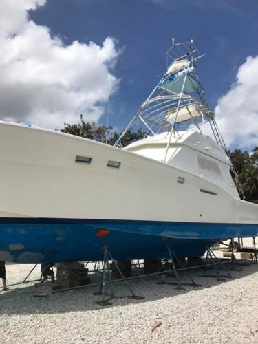 As you can see, L&H Sportfishing in Key Biscane, Florida was already out for service before the hurricane, and it made it through perfectly. http://bit.ly/2o8e3s7

BlacktipH | #BlacktipHAdventureSeries | #Endorsed | #FishWithTheBest