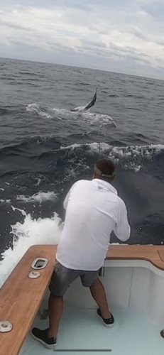 Here’s a picture of Eric catching a White Marlin during the tournament