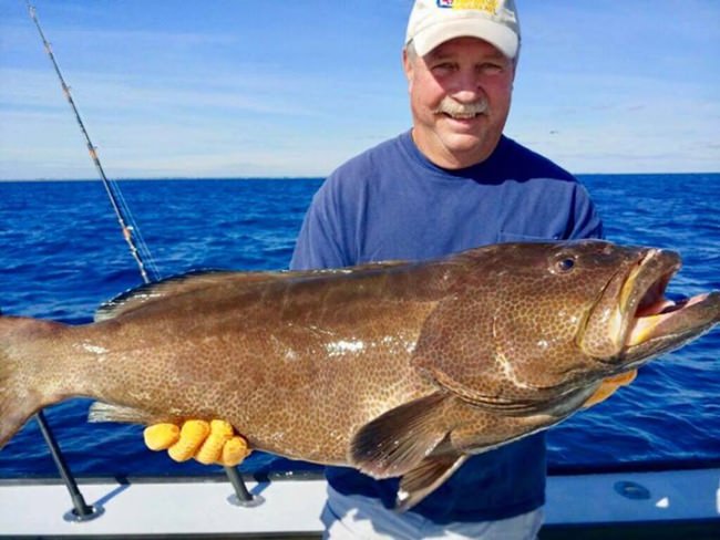 Big Ole Black Grouper for Mystic Rose Fishing Charters! 
#Fishing #FL #Jupiter #MysticRose #FinandField