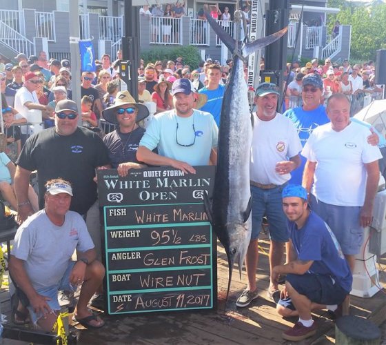 Wire Nut 1st place white marlin. 3rd largest in history of White Marlin Open. #WMO | #FinandField | #OCMD | #PapaWouldBeProud | #Adventure | #Fishing | #Titos | #VentureByAmerican | #MRDucks | #RestlessLady | #Intents | #SillyMoney | #WireNut