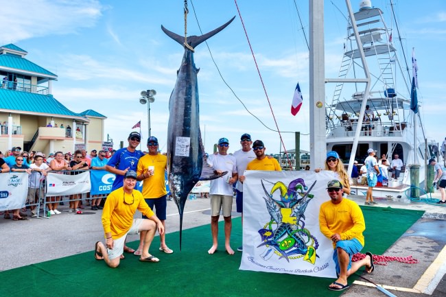 Join the fun at the biggest fishing tournament on the Gulf of Mexico!
The Mississippi Gulf Coast Billfish Classic is June 7-13.
Sign up @ MGCBC.com. #MGCBC #Fishing #GulfOfMexico