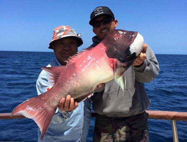 Gotta Love fishing the Pacific Ocean! #Fishing #FinandField #Adventure