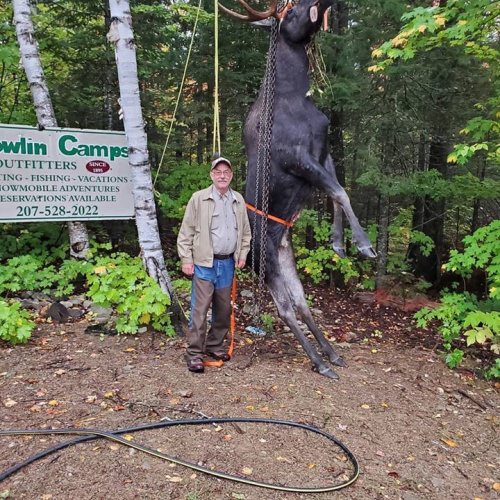 Glen got it done yesterday made a great long shot on this bull. No blood but we knew it was dead. We got Jasper  in and he made a great track and recovery.