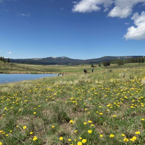 Check out this immersive experience of the Brazos River Lodge.

http://bit.ly/2cc5hUO

Papa's Pilar | #Endorsed | #PapaWouldBeProud | #PapaHemingway | #Fishing | #Hunting | #Trout | #Elk | #Adventure
