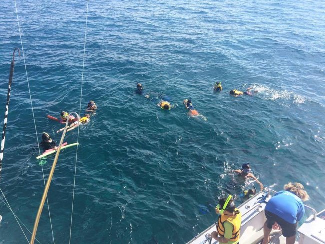 How about a "Bravo" to Capt. John and J & A Charters - Pretty Work & That's Right giving back to community! These photos are from field trip with Ocean Studies School! Kids ages 4-7 got to snorkel, take samples, and learned about why our waters are very important. #GivingBack #Adventure #ThatsRight #FinandField