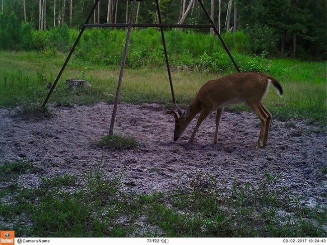 M2E79L142-136R405B375