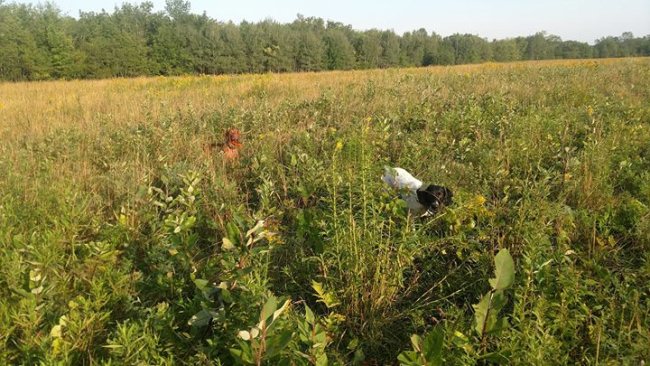 Popper honoring Lilly can't wait till grouse season