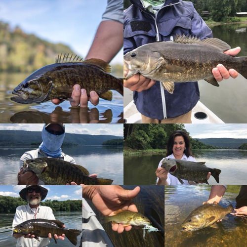 Making memories!
Thank you to all you who shared the water in 2017!
2018 is going to be amazing!