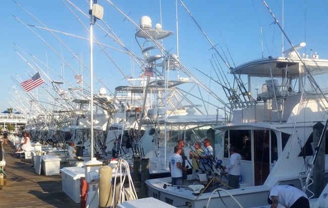 Husevo Offshore Sport Fishing #WMO | #Fishing | #OceanCity | #FinandField | #MillionDollarMarlin | #Tuna | #Shark