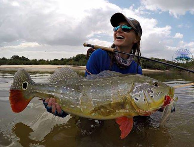 Incrediable Peacock Bass for Rebekka Redd Fly Fishing. #BucketList #Fishing #Adventure #FinandField