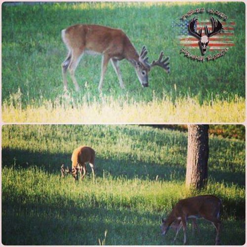 Three Lakes Trophy Ranch is down to the last few Fall deer hunt openings. Their bucks are looking super healthy, contact them now so you don't miss out!

http://bit.ly/2lXB003

Papa's Pilar | #PapaWouldBeProud | #AdventureSeries | #Endorsed | #NeverASpectator | #Hunting | #Adventure