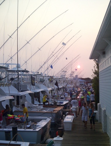 What is your favorite marina? #Summer #HomeAwayFromHome #FinandField #Adventure #Fishing