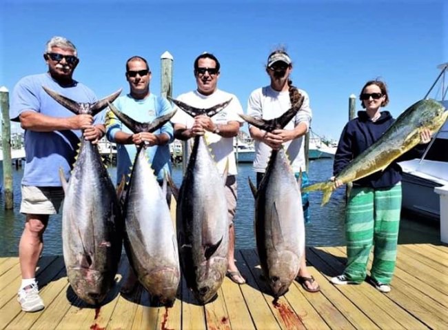 Tuna Time off OC Maryland. Pumpin Hard Sportfishing ran to the Baltimore Canyon yesterday and got 4 nice bigeyes plus a gaffer. #Bigeye #Tuna #PumpinHard #Sportfishing #OC #MD #FinandField