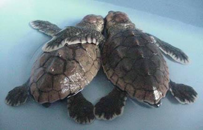 Be "thankful" for friends and family!

#Thanksgiving2016 | #HappyThanksgiving | #FinandField | #GuyHarvey