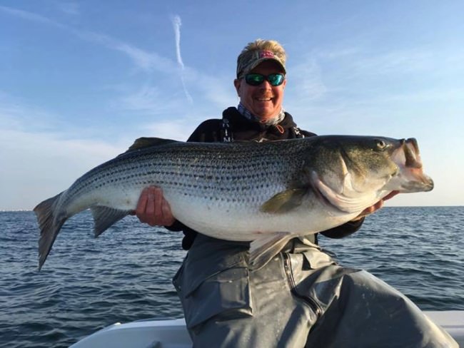 Good big or go home! Capt. John Luchka showing off one of his bigger rockfish. Book your next fishing charter at www.finandfield.com 

#Rockfish | #StripedBass | #Fishing | #FinandField