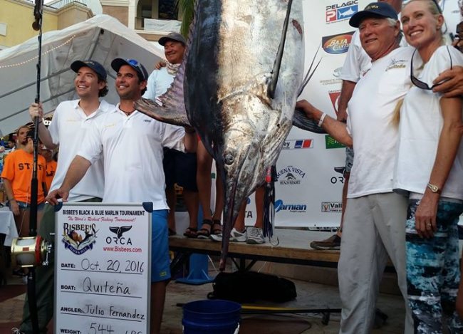 Bisbee's Black and Blue Marlin Tournament Marlin Parker Carol Lynne