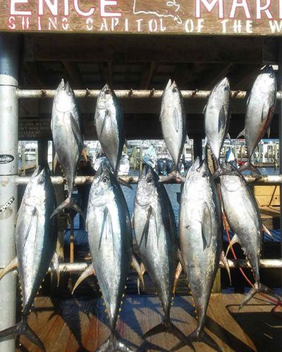 Louisiana Tuna Charters reports that the fishing is good! Even better news is that they have some open days in November!

Win $5000 to book adventures like this one in our $5000 Book with the Best Giveaway (http://bit.ly/2xgc1I2)! Entering is free and simple! The credit can be applied to any of our endorsed guides. Louisiana Tuna Charters is endorsed by Papa's Pilar, the Hemingway inspired rum company!

Papa's Pilar | #PapasPilarThirstyThursday | #NeverASpectator | #HuntWithTheBest | #FishWithTheBest | #Adventure | #Giveaway