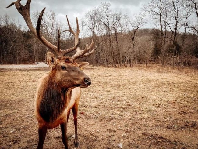 How close is close enough?
#CloseEncounter #Smoke #Outdoors
PC: Tony "Smoke" Stewart