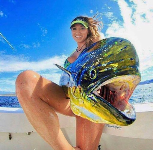 Nothing like a day fishing to put a smile on your face. Book a fishing adventure at www.finandfield.com. Great shot by Hunter Ledbetter

#Fishing | #Adventure | #FinandField | #Pelagic