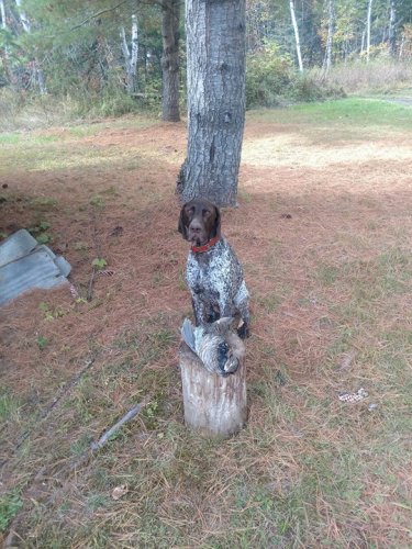 Got one more this morning